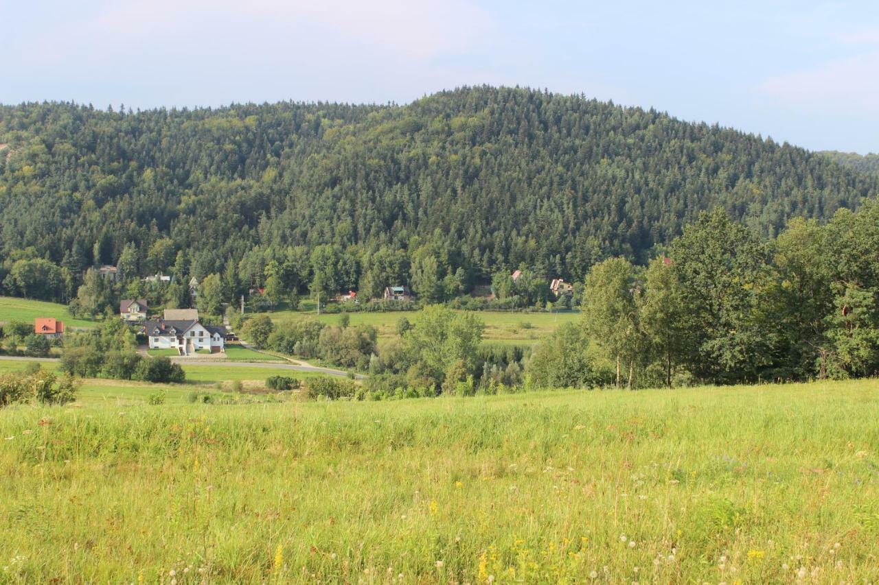 Dwór Bysina Vila Myślenice Exterior foto